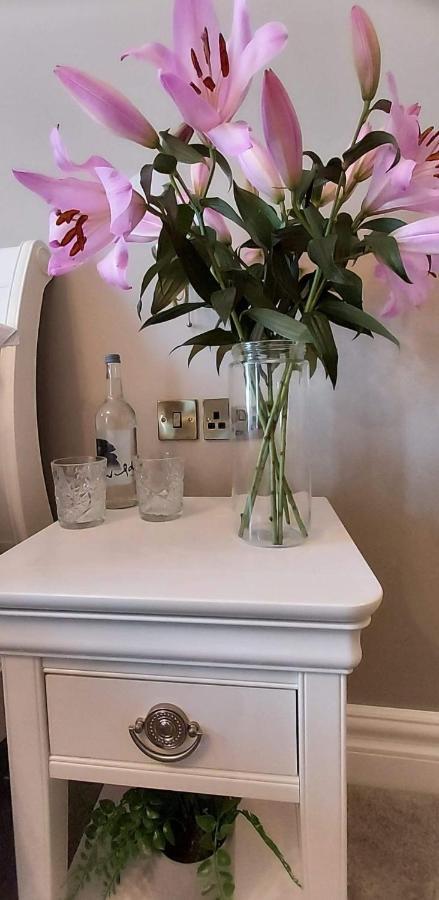 The Canalside B&B At The Auld Shebeen Bar Athy Extérieur photo